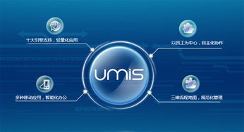 上海互聯網軟件集團 高端協同管理軟件產品和咨詢服務提供商